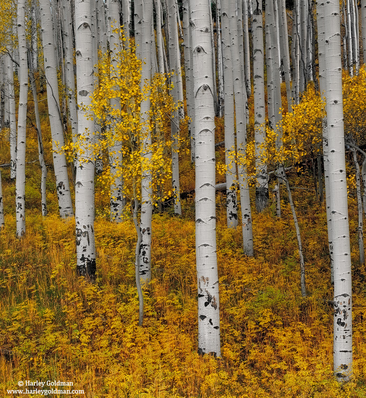 Last Dollar Road | San Juan Mountains, Colorado | Landscape mountain ...